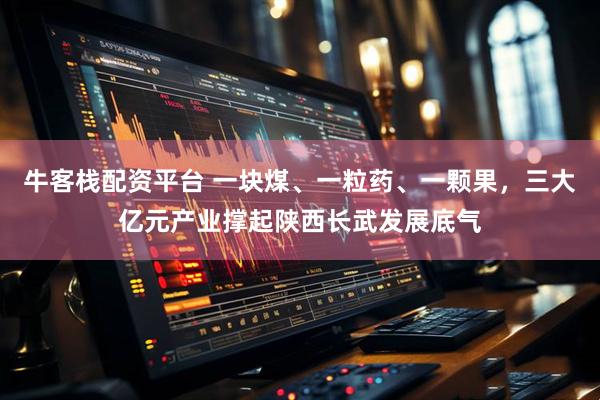 牛客栈配资平台 一块煤、一粒药、一颗果，三大亿元产业撑起陕西长武发展底气