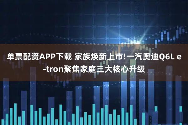 单票配资APP下载 家族焕新上市!一汽奥迪Q6L e-tron聚焦家庭三大核心升级