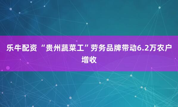 乐牛配资 “贵州蔬菜工”劳务品牌带动6.2万农户增收